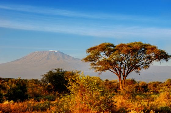 Safari au Kenya, Parc de Amboseli