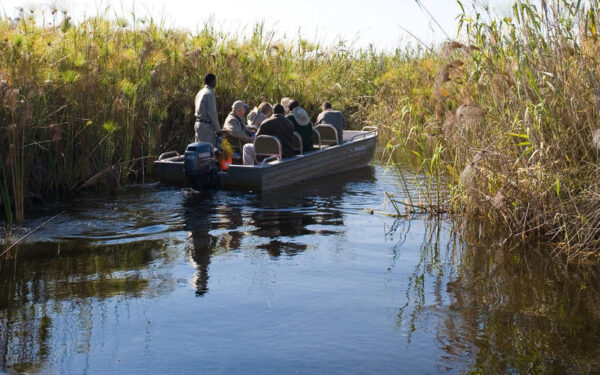 Safari Botswana