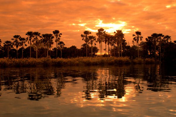 Votre voyage sur mesure au Malawi avec une agence locale.