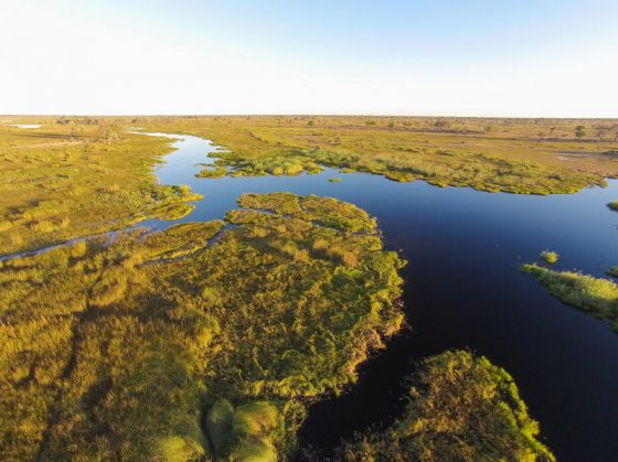 Safari au Botswana, Okavango