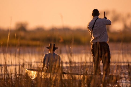 Safari au Delta de l'Okavango, Botswana