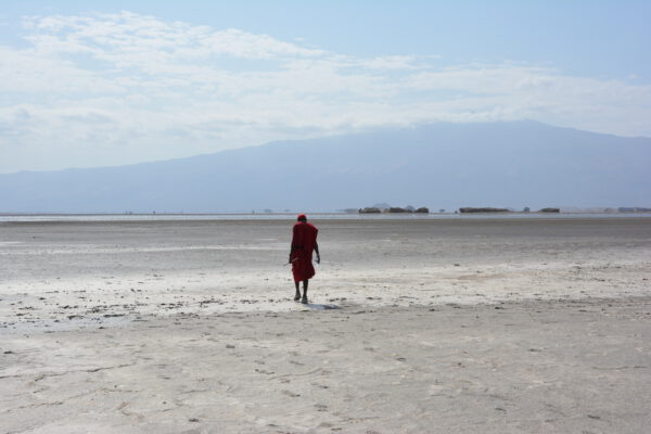 Safari en Tanzanie, agence locale en Tanzanie