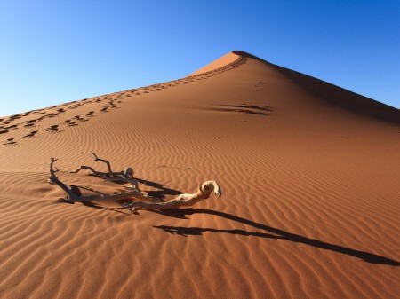 Voyage en Namibie, désert du Namib