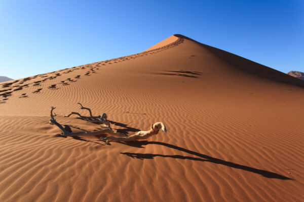 Voyage en Namibie, désert du Namib