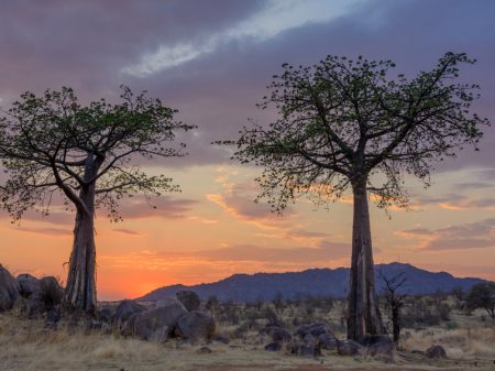 Safari sur mesure en Tanzanie du Sud