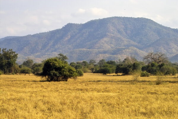 Safari en Zambie, Lower Zambezi