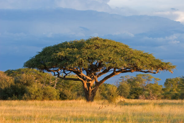 Voyage au Zimbabwe