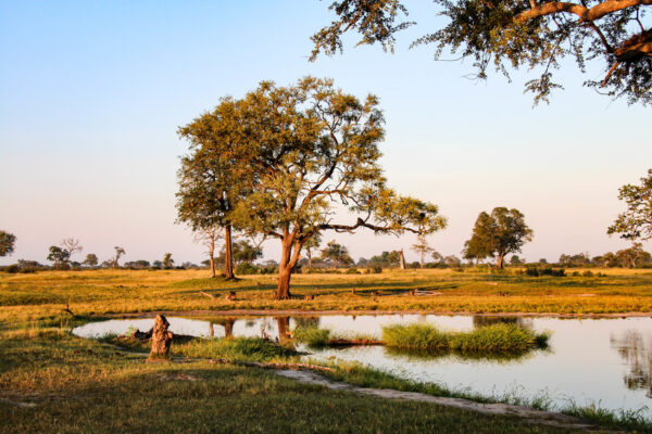 Splendeurs du Zimbabwe