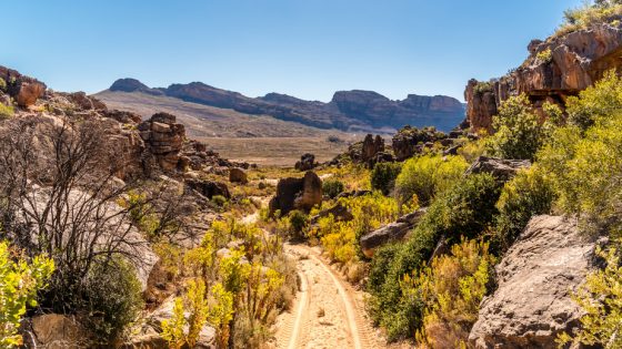 Paysage du Cederberg en Afrique du Sud