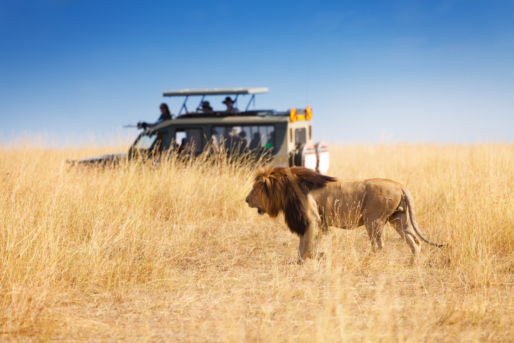 masai mara