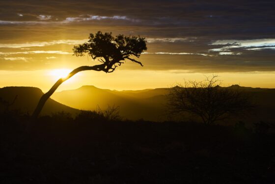 Etendeka Trail. Voyage en Namibie