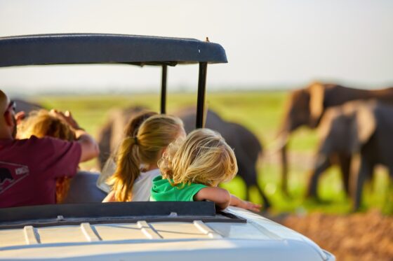 Famille en safari dans un 4x4 au milieu de la savane tanzanienne.