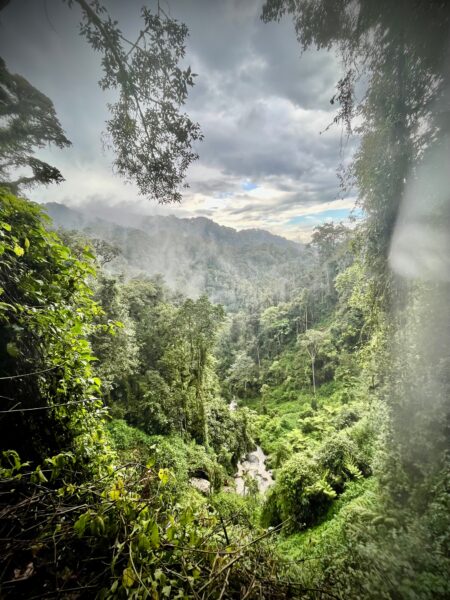 Congo Nile Trail au Rwanda : randonnée au bord du lac Kivu